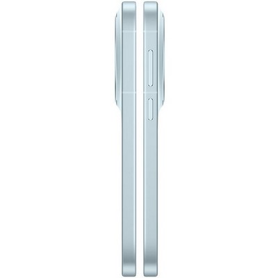 Vivo X300 16/256GB Mist Blue - фото 87133