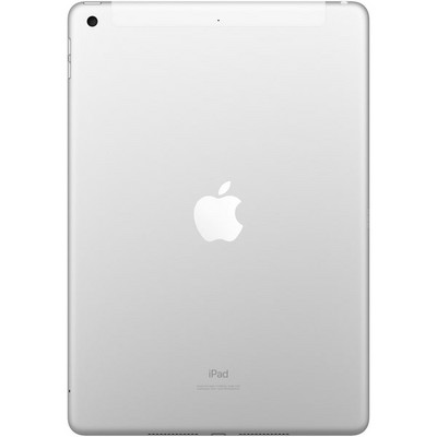 Apple iPad (2019) 32Gb Wi-Fi + Cellular Silver - фото 23312