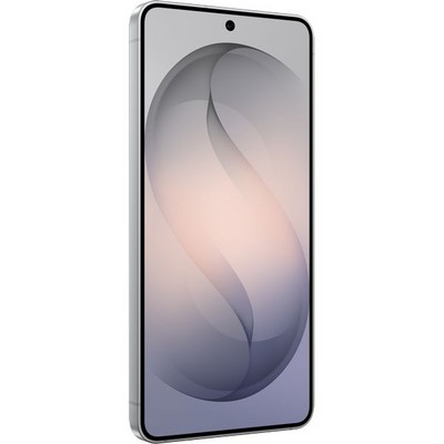 Samsung Galaxy S26 12/256GB Silver Shadow - фото 91361