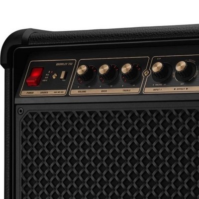Marshall Bromley 750 Black and Brass - фото 92620