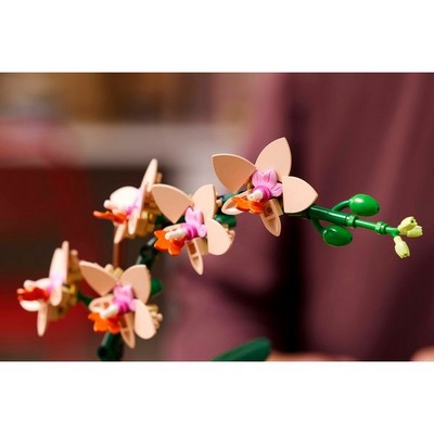 LEGO Botanical Mini Orchid (10343) - фото 101620