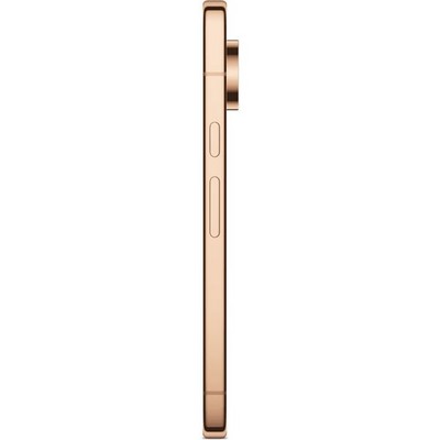 Pixel 11 Pro 16/1TB Canyon - фото 103380
