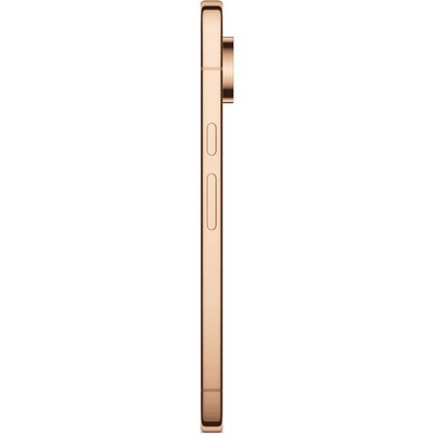 Pixel 11 Pro XL 16/1TB Canyon - фото 103443