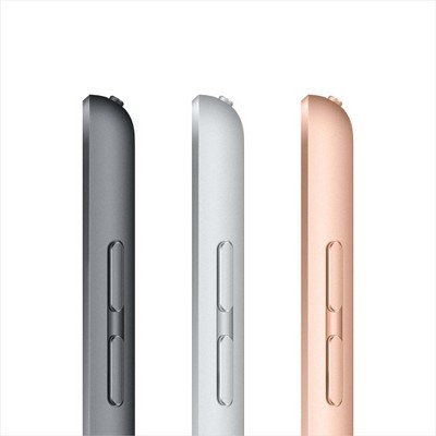 Apple iPad (2020) 128Gb Wi-Fi Space Gray MYLD2 - фото 32935