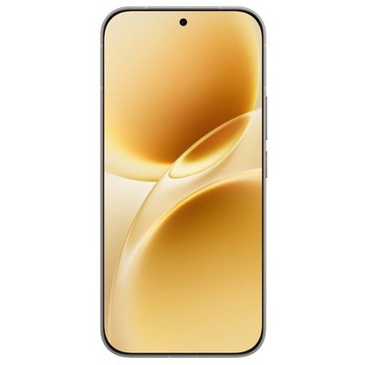 Vivo V70 (V2538) 8/512GB Gray - фото 104378