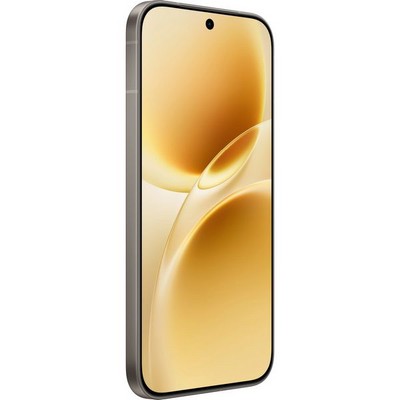 Vivo V70 (V2538) 8/512GB Gray - фото 104380