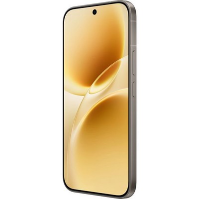 Vivo V70 (V2538) 8/512GB Gray - фото 104381