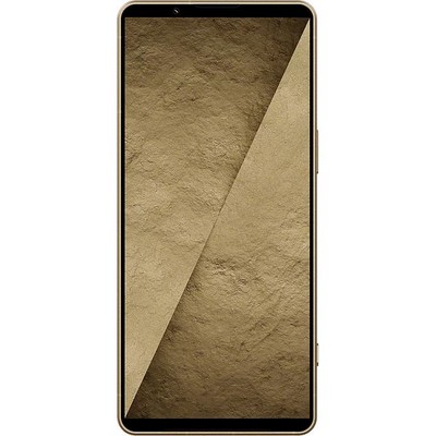 Sony Xperia 1 VIII XQ-GE74 12/512GB Native Gold - фото 106694