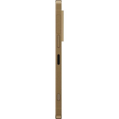 Sony Xperia 1 VIII XQ-GE74 12/512GB Native Gold - фото 106697