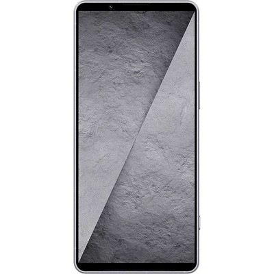 Sony Xperia 1 VIII XQ-GE74 12/512GB Iolite Silver - фото 106704