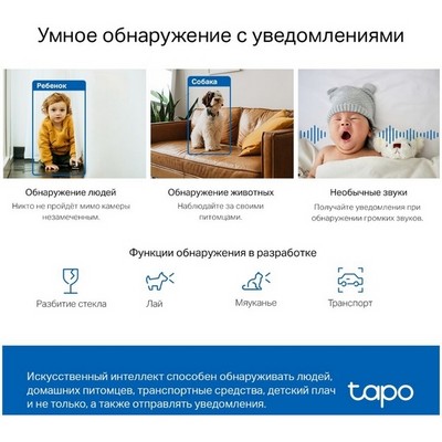 Беспроводная IP камера TP-LINK TAPO C220 - фото 107125