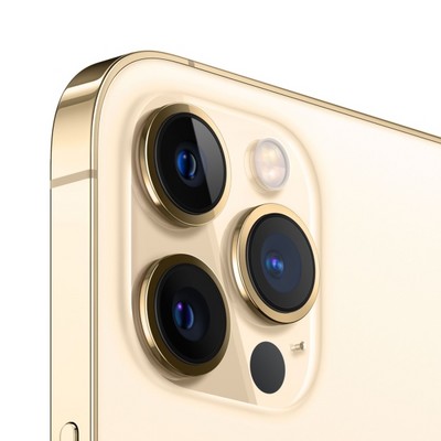 Apple iPhone 12 Pro Max 256GB Gold (золотой) - фото 36097