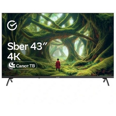 SBER SDX-43U5500DBA 43" - фото 108599