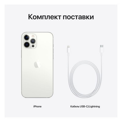 Apple iPhone 12 Pro Max 256GB Silver (серебристый) MGDD3RU - фото 36241