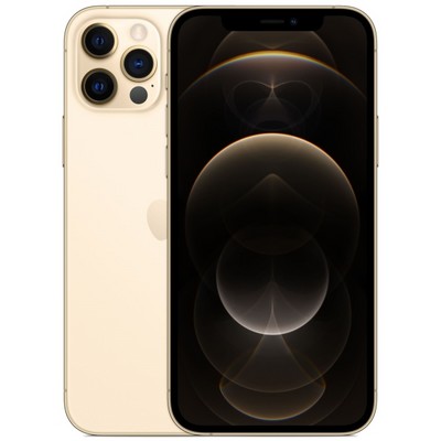 Apple iPhone 12 Pro Max 256GB Gold (золотой) MGDE3RU - фото 37682