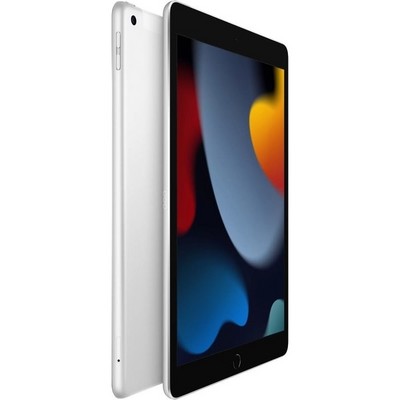 Apple iPad (2021) 64Gb Wi-Fi + Cellular Silver - фото 44487