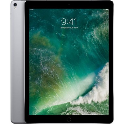 Apple iPad Pro 12.9 (2017) 256Gb Wi-Fi + Cellular Space Gray - фото 6343