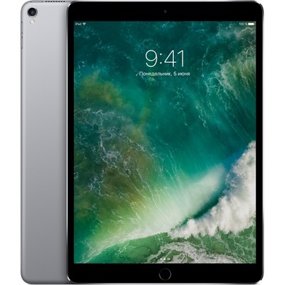 Apple iPad Pro 10.5 512Gb Wi-Fi Space Gray - фото 6371