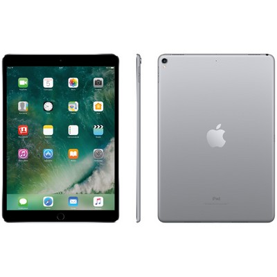 Apple iPad Pro 10.5 64Gb Wi-Fi Space Gray - фото 6386