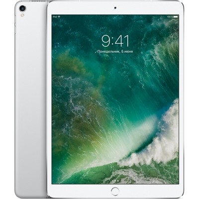 Apple iPad Pro 10.5 256Gb Wi-Fi + Cellular Silver - фото 6469