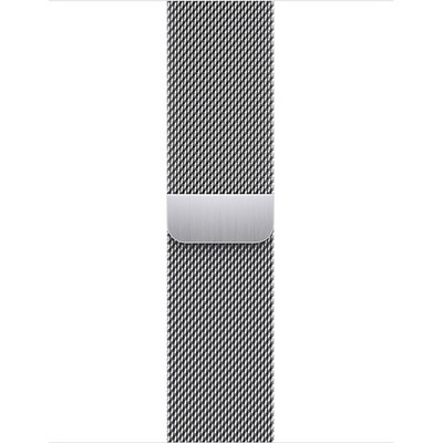 Apple Watch Series 9 GPS + Cellular 41mm Silver Stainless Steel Milanese Loop (серебро) - фото 57307