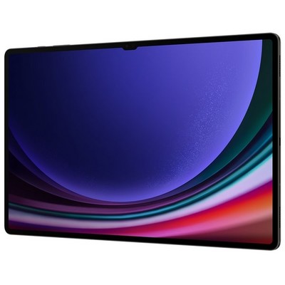 Samsung Galaxy Tab S9 Ultra Wi-Fi 12/256GB, графит - фото 69836