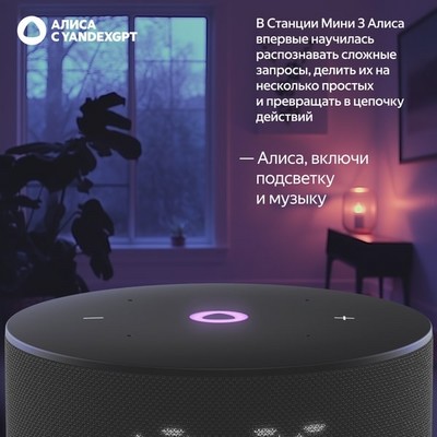 Яндекс Станция Мини 3 с Алисой на YaGPT, чёрный - фото 70609 Яндекс Станция Мини 3 с Алисой на YaGPT, чёрный - фото 70609