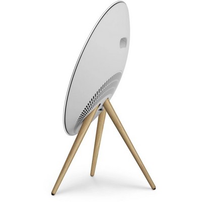 Bang & Olufsen Beosound A9 5th Generation Natural Aluminium - фото 72696