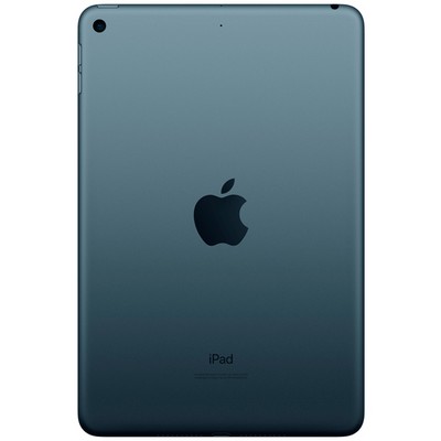 Apple iPad mini (2019) 64Gb Wi-Fi Space Grey (серый космос) RU - фото 19280