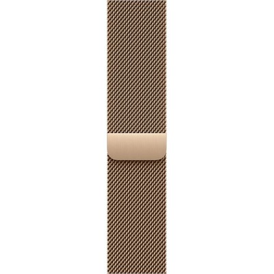 Apple Watch Series 11, 46 mm, S-M/M-L Gold Titanium Milanese Loop - фото 83411