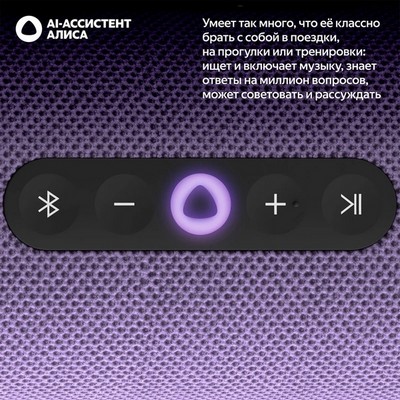 Яндекс Станция Стрит с Алисой, фиолетовый - фото 84276