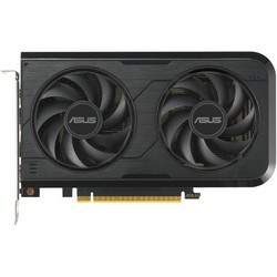 ASUS nVidia GeForce RTX 5050 Dual OC 8G 8192Mb GDDR6 Dual-RTX5050-O8G