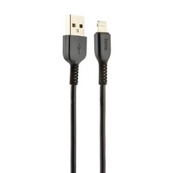 USB дата-кабель Hoco X20 Flash Lightning (3.0 м) Черный
