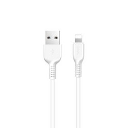 USB дата-кабель Hoco X20 Flash Lightning (2.0 м) Белый