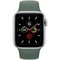 Apple Watch Series 5 Cellular 40mm Silver Aluminum Case with Pine Green Sport Band - фото 22569