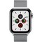 Apple Watch Series 5 Cellular 40mm Stainless Steel Case with Silver Milanese Loop - фото 22979