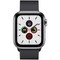 Apple Watch Series 5 Cellular 40mm Stainless Steel Case with Space Black Milanese Loop - фото 22985