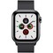 Apple Watch Series 5 Cellular 40mm Space Black Stainless Steel Case with Space Black Milanese Loop - фото 23021