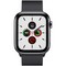 Apple Watch Series 5 Cellular 44mm Space Black Stainless Steel Case with Space Black Milanese Loop - фото 23030