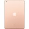 Apple iPad (2019) 128Gb Wi-Fi Gold - фото 23306