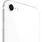 Apple iPhone SE (2020) 128GB White (белый) - фото 26254