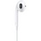 Apple EarPods USB-C - фото 93717