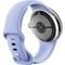 Pixel Watch 4 41mm Wi-Fi Polished Silver/Iris - фото 94648