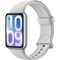 Xiaomi Smart Band 10 Pro RU Glacier Silver - фото 96486
