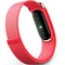 Google Fitbit Air Berry - фото 96519