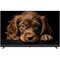 Topdevice TDTV55DQ08U BK (2024) 55" - фото 99765