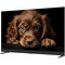 Topdevice TDTV55DQ08U BK (2024) 55" - фото 99767
