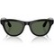 Ray-Ban Skyler RW4010 Shiny Black/ Green lenses Size M - фото 100280