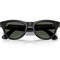 Ray-Ban Skyler RW4010 Shiny Black/ Green lenses Size M - фото 100284