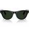 Ray-Ban Skyler (Gen2) RW4014 Shiny Black/ Transitions Graphite Green lenses Size M - фото 100331